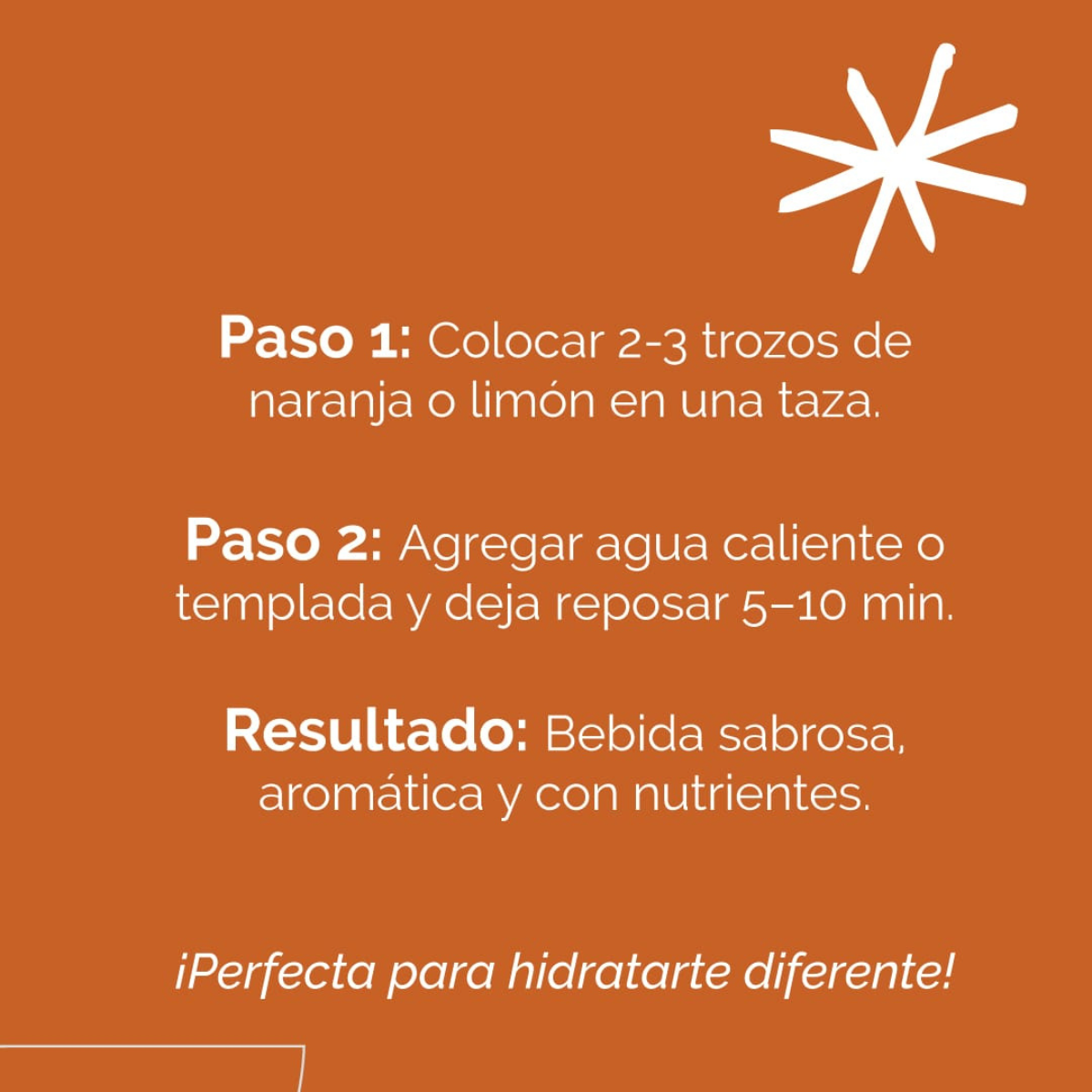 Rueditas Cítricas de Naranja y Limón - Sequitas